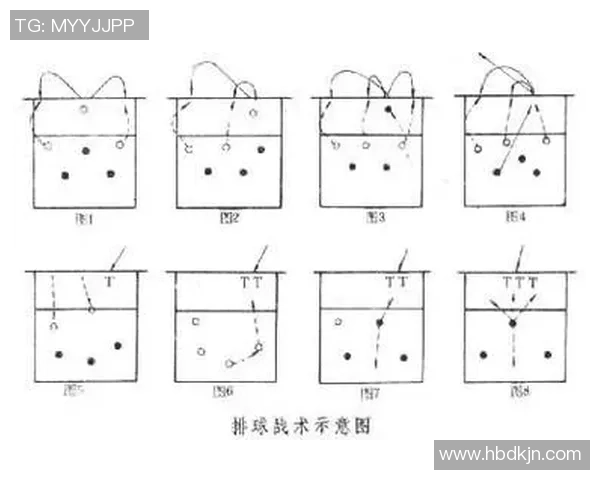 西安排球队节奏的奥秘与排球战术深度解析